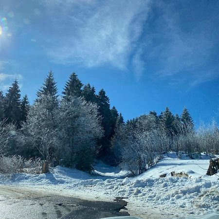 Ferienhaeuschen Gartenblick Friedrichroda Kültér fotó